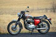 Picture 3 - 1969 BSA Lightning motorbike