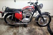 Picture 2 - 1968 BSA A65 lighting 650 motorbike