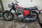 Picture 4 - 1968 BSA A65 lighting 650 motorbike