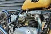 Picture 5 - BSA A65 Hardtail Bobber motorbike