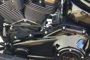 Picture 7 - Harley-Davidson Fatboy 30th Anniversary 114ci No. 1024 motorbike