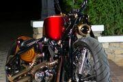 Picture 3 - 2020 Harley-Davidson Sportster motorbike