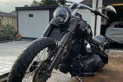 Picture 8 - Harley-Davidson Softail Slim FLS 103 motorbike