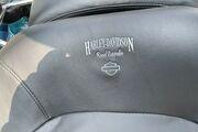 Picture 6 - 2020 Harley-Davidson Touring, Teal color motorbike