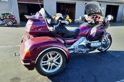 Picture 7 - 2004 Honda Gold Wing motorbike