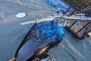 Picture 7 - 2004 Bourget Low Blow motorbike