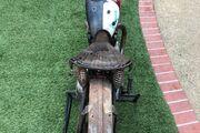 Picture 6 - 1950 Triumph Thunderbird for sale motorbike