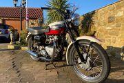 Picture 3 - 1956 Triumph T110 650cc beautifully restored motorbike