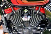 Picture 6 - 2020 Harley-Davidson Touring in Black motorbike
