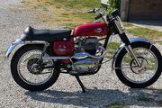 Picture 7 - 1967 BSA Hornet, Red motorbike