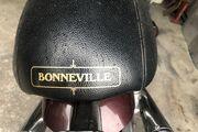 Picture 7 - Triumph Bonneville, burgundy motorbike