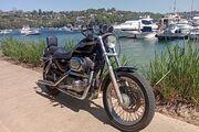 Picture 5 - 2003 Harley-Davidson Sportster 1200 100th anniversary model motorbike