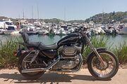 Picture 7 - 2003 Harley-Davidson Sportster 1200 100th anniversary model motorbike