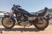 Picture 8 - 2003 Harley-Davidson Sportster 1200 100th anniversary model motorbike