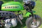 Picture 8 - Kawasaki Mt1 Kv75 Parnelli Jones motorbike