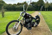 Picture 5 - Harley-Davidson Panhead FLE 1953 Chopper motorbike