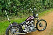 Picture 6 - Harley-Davidson Panhead FLE 1953 Chopper motorbike