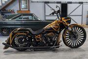 Picture 5 - 2016 Harley-Davidson Softail motorbike