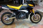 1989 Yamaha TDR 250 for sale