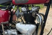 Picture 6 - 1955 Triumph T110 / TR6 style 650cc, good runner with V5C doc motorbike