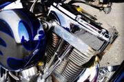 Picture 6 - 2010 TITAN Sidewinder Softail 1834cc, 4640 miles, Immaculate condition motorbike