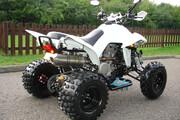 Picture 5 - 2012 Quadzilla 450 Sport * Only 254 Miles * Road Legal * Mint Condition motorbike