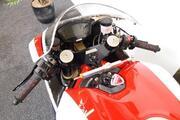 Picture 6 - Ducati Motorbike 1098 R TROY BAYLISS no 298 motorbike