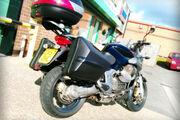 Picture 3 - 2008 Moto Guzzi Breva 1100, 20066 miles, full luggage, excellent motorbike
