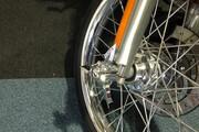 Picture 7 - Harley-Davidson FXSTC Softail Custom in Red 2006 1584cc motorbike