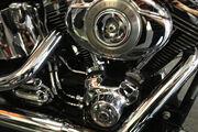 Picture 8 - Harley-Davidson FXSTC Softail Custom in Red 2006 1584cc motorbike