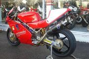 Picture 9 - Ducati 888 Factory Corse Racebike (1993) motorbike