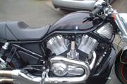 Picture 6 - Harley-Davidson Street Rod VRSCR Black motorbike