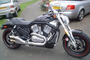 Picture 9 - Harley-Davidson Street Rod VRSCR Black motorbike