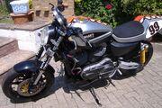 Picture 5 - Harley-Davidson XR1200 Championship Winning Race Bike (Jeremy McWilliams 2010) motorbike