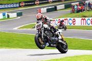 Picture 10 - Harley-Davidson XR1200 Championship Winning Race Bike (Jeremy McWilliams 2010) motorbike
