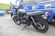 Picture 4 - New Triumph Scrambler 2014 Model in Matt Blue with Ceramic coated exhausts motorbike