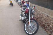 Picture 3 - 2007 Harley-Davidson FXST Softail Custom 1584cc Cruiser in red motorbike