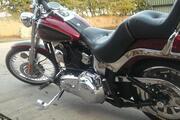 Picture 4 - 2007 Harley-Davidson FXST Softail Custom 1584cc Cruiser in red motorbike