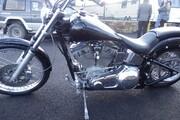 Picture 6 - 2001 Independence Custom Express Softail Chopper - 1600cc motorbike