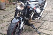 Picture 7 - 2009 Moto Guzzi Griso 8V in Black motorbike