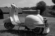 Picture 6 - Vespa GS160 1962 Mark 1 (Piaggio) motorbike