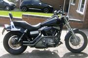 Picture 2 - 2009 Harley-Davidson FXDB Street BOB 1584 09 Low miles motorbike