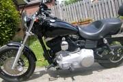 Picture 6 - 2009 Harley-Davidson FXDB Street BOB 1584 09 Low miles motorbike