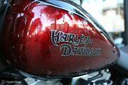 Picture 9 - Harley-Davidson FXS Custom Blackline West Coast Custom motorbike