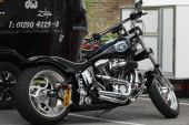 Harley-Davidson FLSTC Black for sale