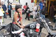Picture 2 - Harley-Davidson FLSTC Black motorbike