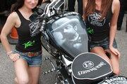 Picture 7 - Harley-Davidson FLSTC Black motorbike