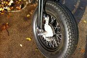 Picture 3 - One Off Custom Royal Enfield 500cc Bobber motorbike