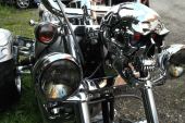 Harley-Davidson TRIKE. 'The Terminator' for sale