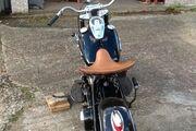 Picture 7 - 1955 Harley-Davidson Panhead Bobber motorbike